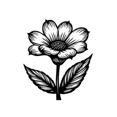 Detailed botanical illustration: Graceful flower in black and white line art design