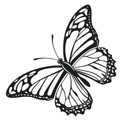 silhouette butterfly clipart on white background