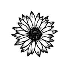 Striking monochrome portrayal of a sunflower, intricate line work and detail