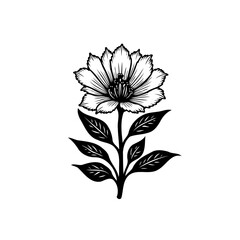 Elegant monochrome floral illustration, botanical drawing with leaves and stem