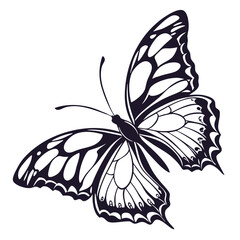 silhouette butterfly clipart on white background