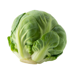 Fototapeta premium Brussel sprout isolated on white and transparent background.
