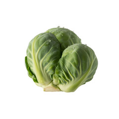 Fototapeta premium Brussel sprout isolated on white and transparent background.