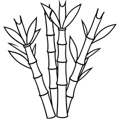 Bamboo Shoots outline vector
