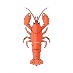 Red Lobster Illustration on White Background
