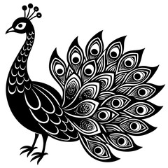 creative details beautiful pecock icon  Vector Illustration