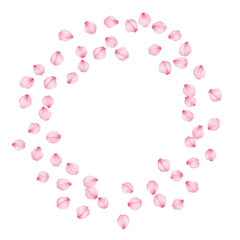 pink rose petals