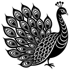 creative details beautiful pecock icon  Vector Illustration