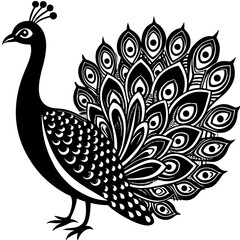 creative details beautiful pecock icon  Vector Illustration