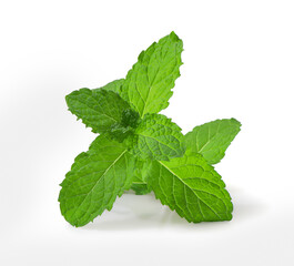 Fresh mint leaves isolated on white background with clipping path, Lush green mint leaves.