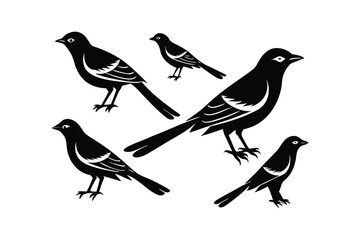 Mockingbird Silhouette Various Poses and Sizes Vector Design