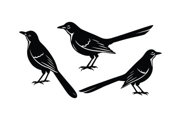 Mockingbird Silhouette Various Poses and Sizes Vector Design