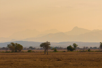 Landscape in Tanzania