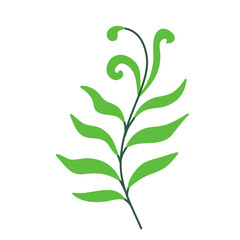 Leaf vector colorful on transparent background