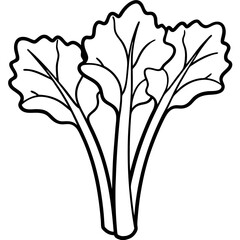 Rhubarb outline vector