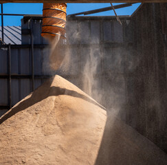 aggregate sawdust in a loose pile with wind blown particulate 