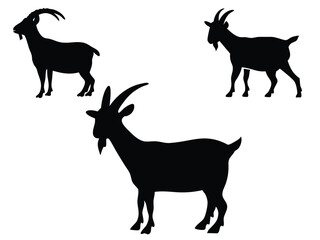Set of goat silhouettes, vector of goat silhouettes
