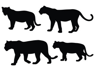 Set of isolated vector panther silhouettes