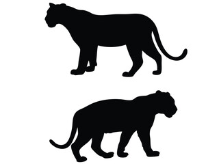 Vector illustrations of leopard silhouettes