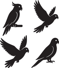 Obraz premium Black Silhouette Cockatoo Parrot Birds Flying Perched Vector Illustration