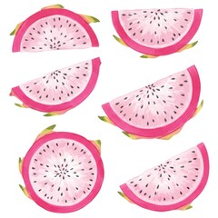 Fototapeta premium Watercolor Pink Dragon Fruit Slices Illustration