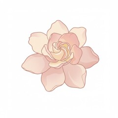 Pale Pink Gardenia Blossom Illustration