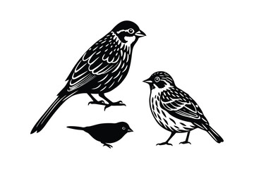 Grasshopper Sparrow Bird Silhouette Vector Design