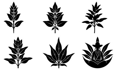 Fototapeta premium Sage silhouette vector