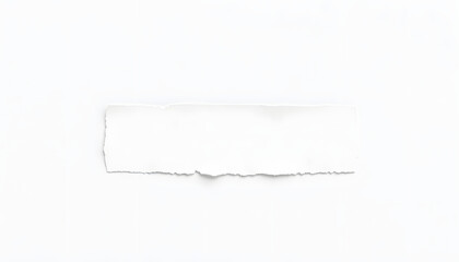 Ripped paper banner, retro style. White tone