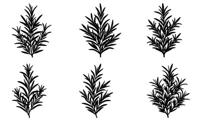 Fototapeta premium Rosemary silhouette vector