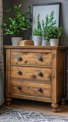 Wooden chest of drawers with plants and art