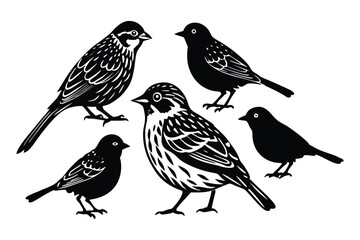 Grasshopper Sparrow Bird Silhouette Vector Design