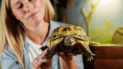 Woman Holding a Tortoise Close-Up