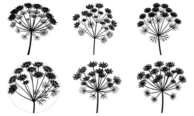 Obraz premium Dill silhouette vector