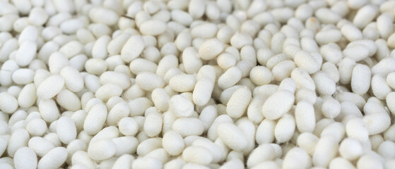 Close-Up of Silkworm Cocoons. The Natural Source of Luxurious Silk.