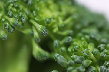 Close-up Fresh Broccoli Florets isolated on white background
