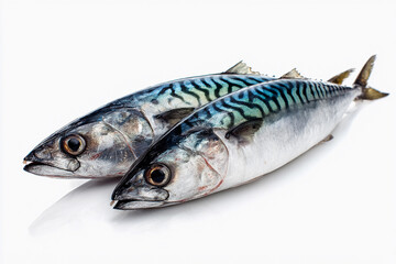 Fototapeta premium Fresh mackerel fish laid on a clean surface ready for cooking or preparation in a kitchen setting