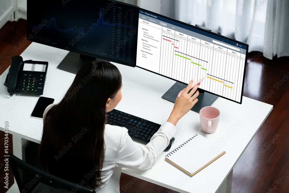 Poster project planning software for brisk business project management on the computer screen showing timel