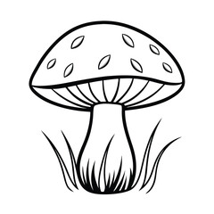 mushroom in grass