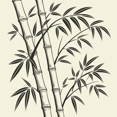 Bamboo hand drawn vector illustration