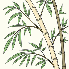 Bamboo hand drawn vector illustration