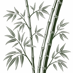 bamboo vector illustration