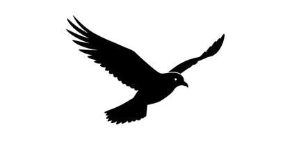 Obraz premium A stunning silhouette of a bird in full flight, showing wings against a crisp white backdrop.