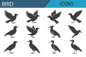 Set of Birds in Different Flight and Posture Poses