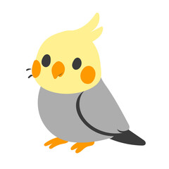 Cute cartoon representation of a small cockatiel bird with soft yellow crest, orange cheeks, and gray body, perfect for children’s illustrations or educational materials