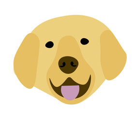 Lab golden head