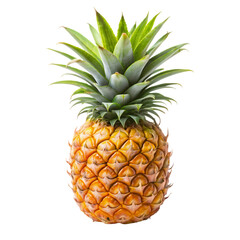 Fresh Ripe Pineapple Tropical Fruit Image on Transparent background