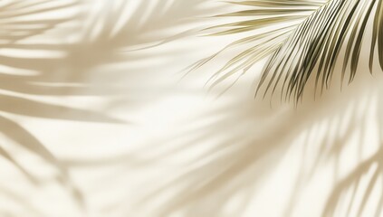 Fototapeta premium Palm leaf shadows on a light beige background