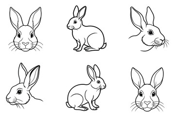Rabbit face liner art set on white background