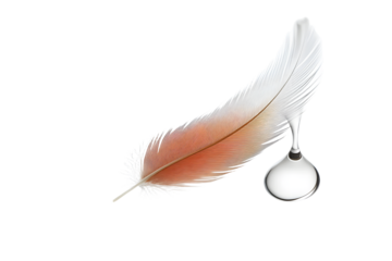 A feather and a drop of water, a symbol of lightness on a white background. Space for text.